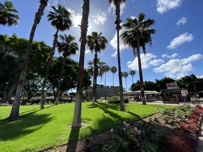 Terrein van de accommodatie