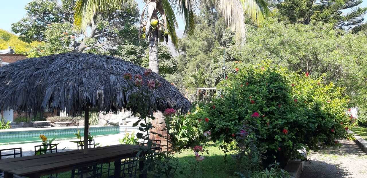 A poolside area with a thatched umbrella, a wooden deck, and lush greenery.