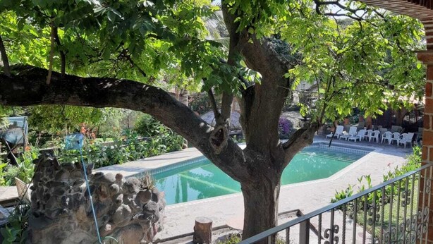 Un espace piscine bordé d’arbres, avec un mur en pierre et une structure en briques.