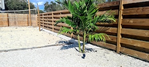Surrounded by lush greenery, a palm tree stands near a fence.