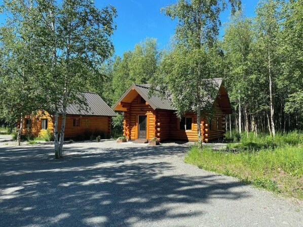Un hébergement de style rustique, aménagé dans une cabane, avec une allée en gravier et entouré d’une forêt.