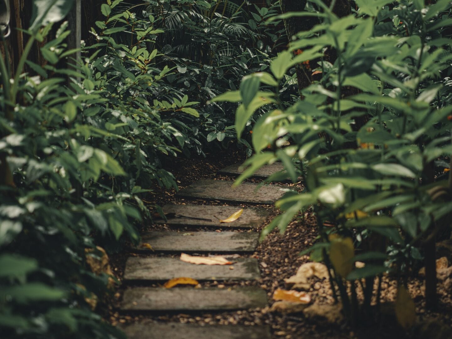 Jardines del alojamiento