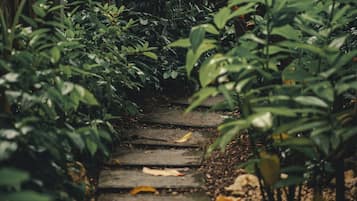 Jardines del alojamiento