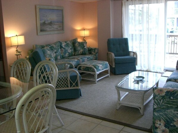 Smart TV, Netflix, reproductor de DVD y libros 