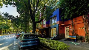 Une vue de rue avec une voiture garée, un bâtiment à la façade colorée et un trottoir bordé d’arbres.