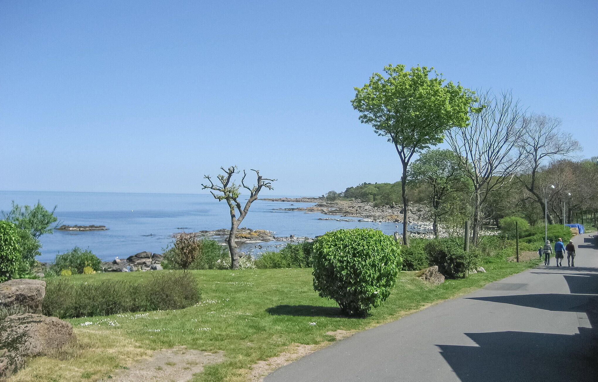 A coastal path with a clear view of the sea, surrounded by greenery and trees.