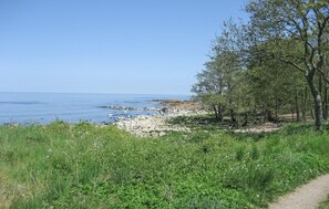 Playa en los alrededores