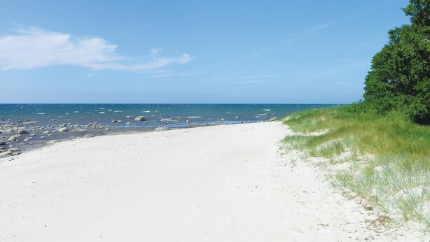 Nær stranden