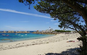 Tæt på stranden, fiskeri
