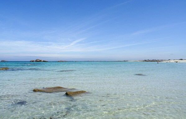 بالقرب من الشاطئ، صيد الأسماك