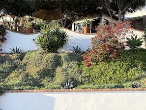 Terrein van de accommodatie