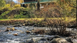 A house with a green roof and a porch, surrounded by trees and a stream.