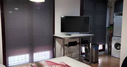 Atocha Museo Prado-Museo Reina Sofia