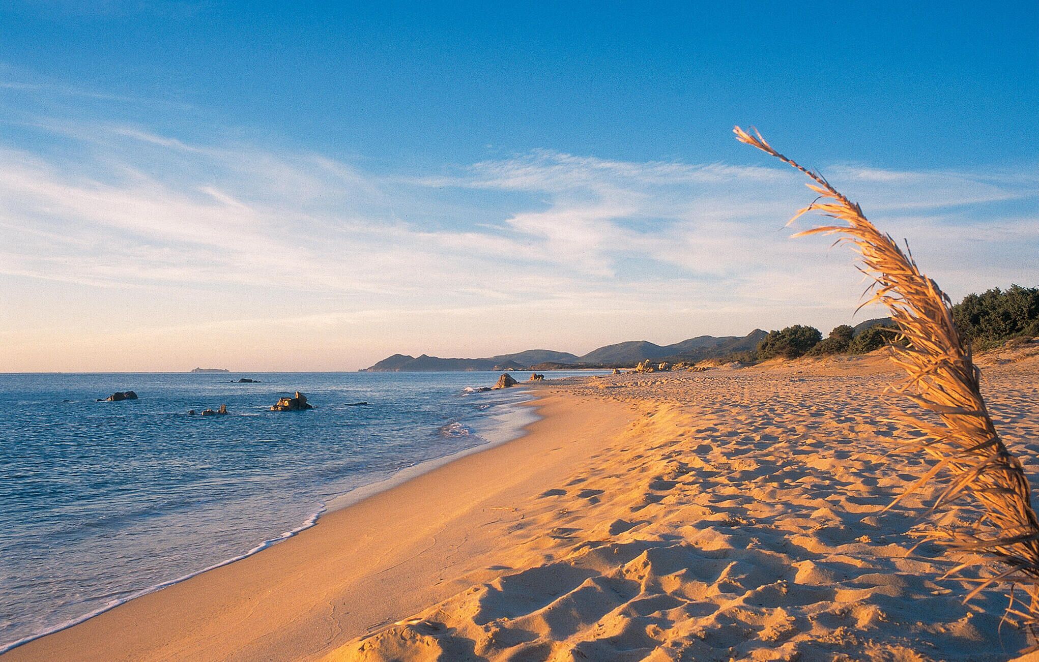 In Strandnähe, Angeln