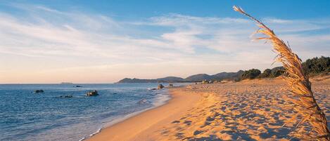 In Strandnähe, Angeln