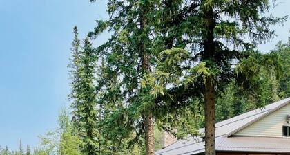 Modern and spacious cabin nestled along the banks of Elk Creek.