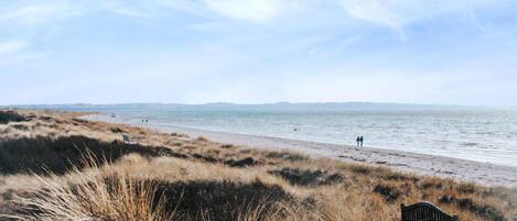 بالقرب من الشاطئ