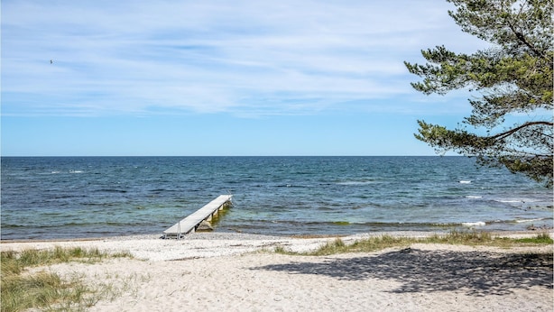 Ein Strand mit einer Holzbank und einem Baum.