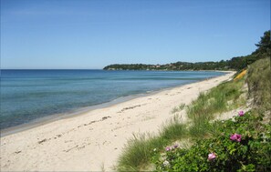Una spiaggia nelle vicinanze