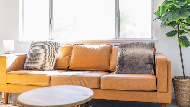 Ein sandfarbenes Ledersofa mit Kissen, ein runder Couchtisch und ein Blumentopf.