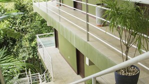 A balcony with a railing, surrounded by lush greenery and potted plants. - Entire Hotel (Montezuma)