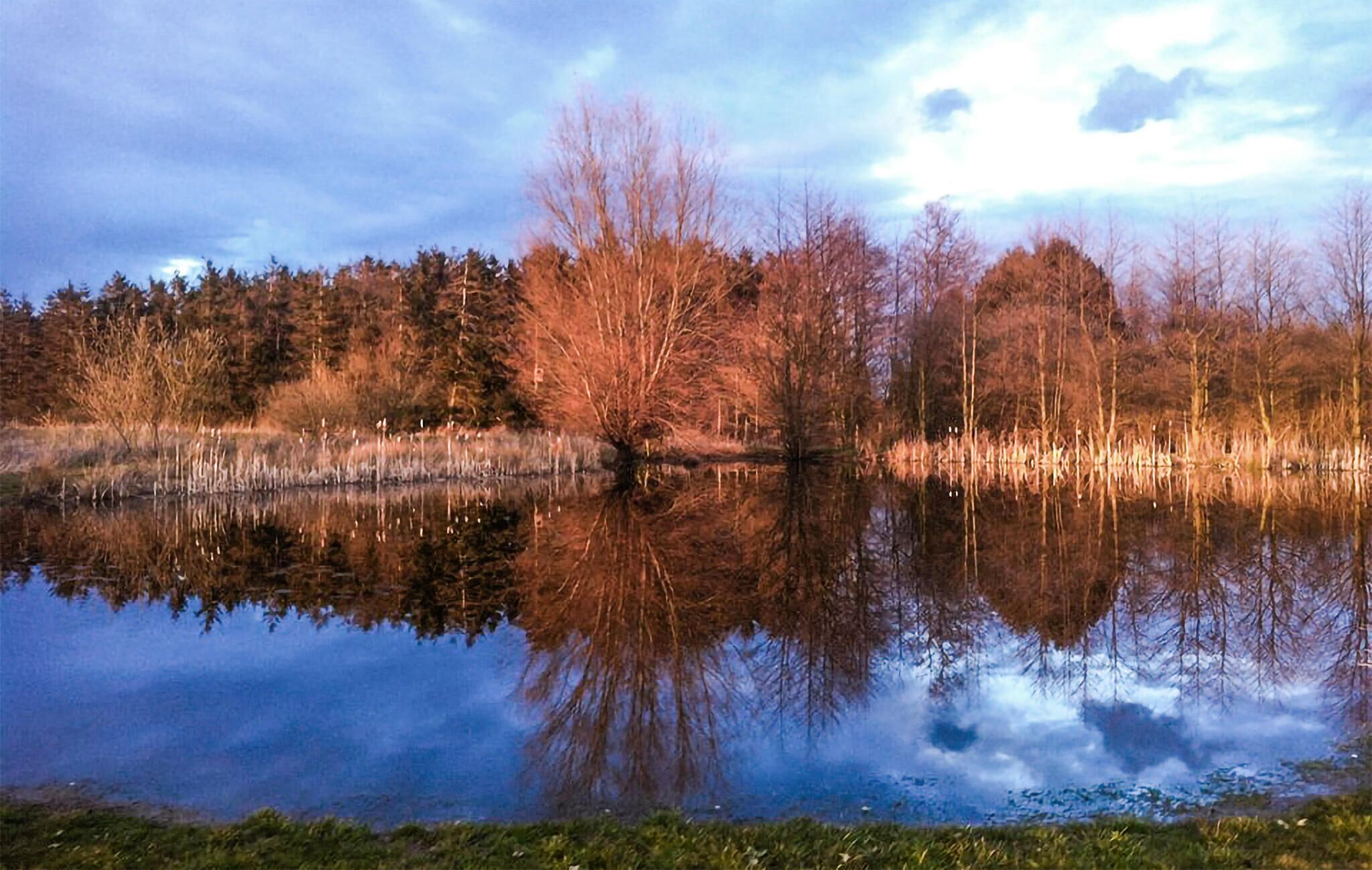 A calm lake with reflections of trees and a clear sky.