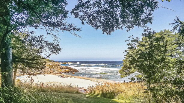 A coastal landscape with a beach, rocky shoreline, and ocean waves.