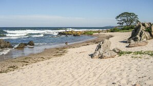 Una spiaggia sabbiosa con affioramenti rocciosi e un albero.