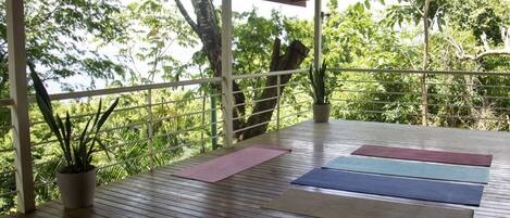 A wooden deck with exercise mats and a potted plant.