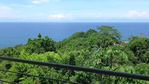 A balcony with a view of the ocean and dense greenery. - Queen Suite (Montezuma)