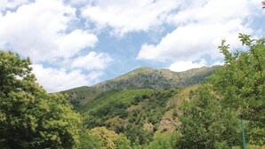 A mountainous landscape with dense greenery and a clear sky.