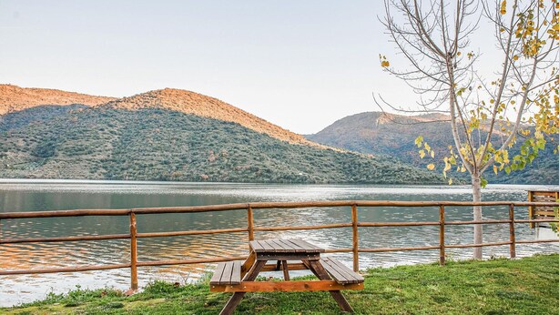 A lakeside picnic area with a wooden bench and a metal railing.
