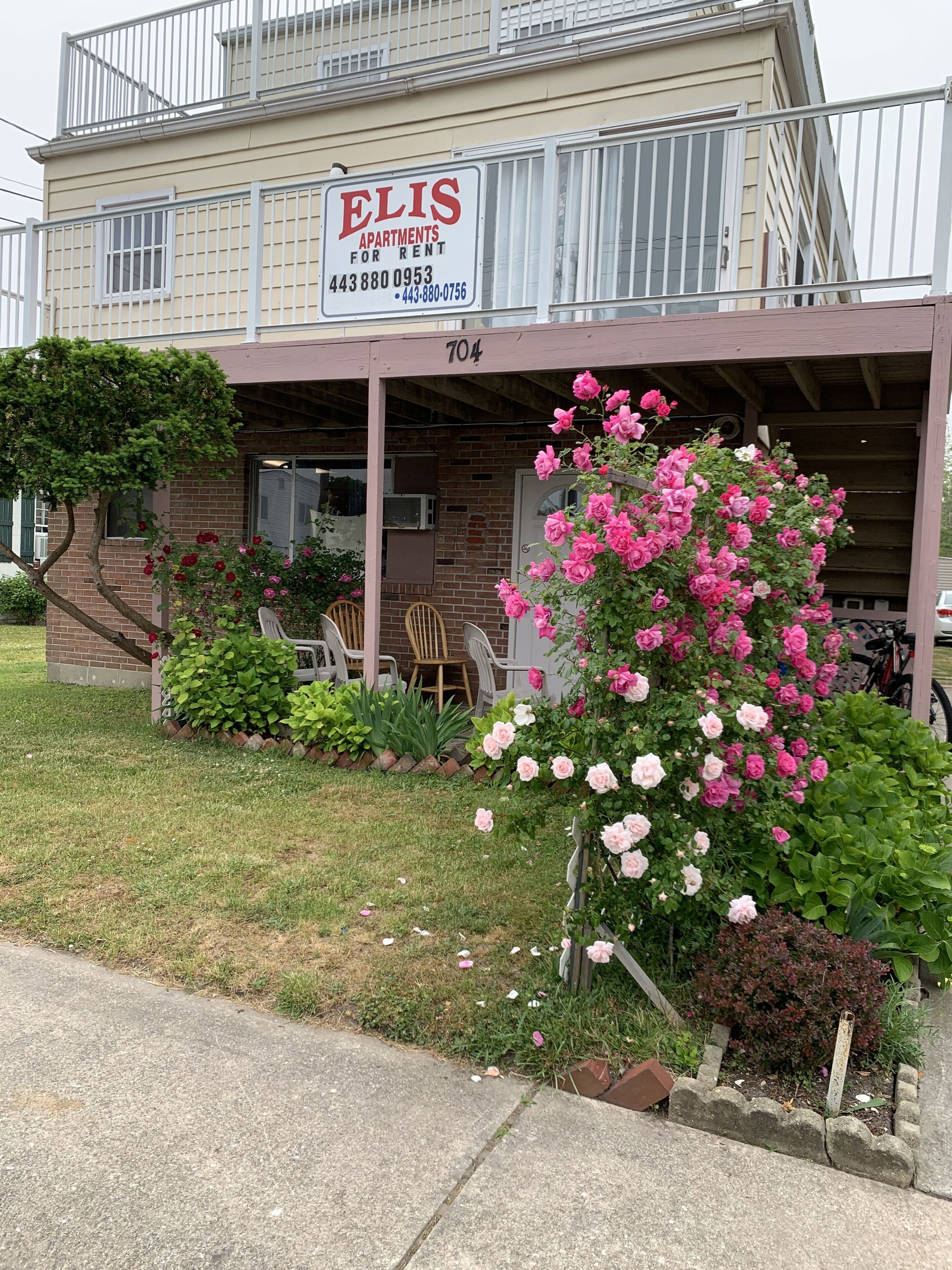 Habitación Deluxe | Vistas al jardín