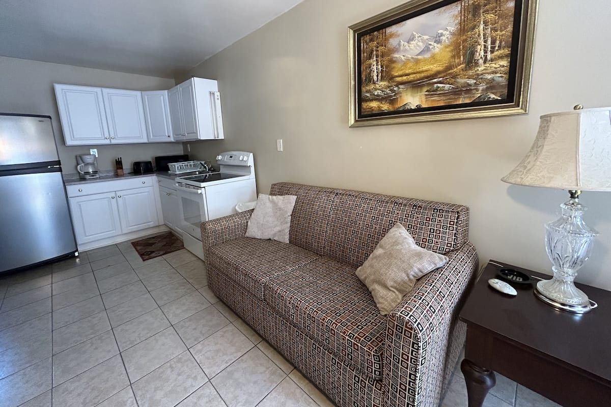 A compact living space with a kitchenette, a patterned sofa, a painting, and a lamp.