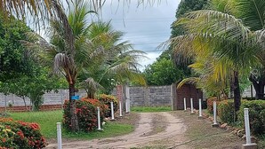 A dirt path leading through a landscaped area with palm trees and flowering shrubs.