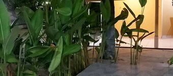 Nice place and lots of space