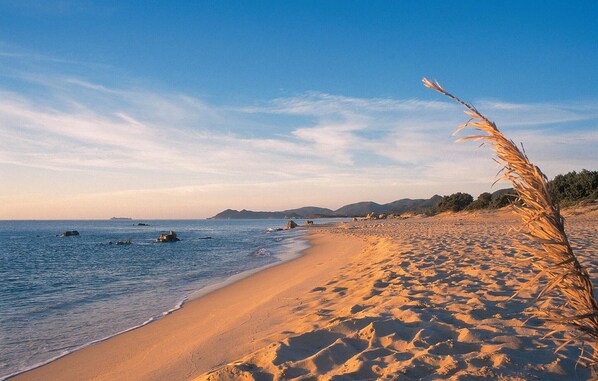 Plage à proximité