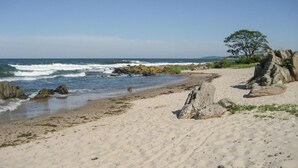 Une plage de sable avec des affleurements rocheux et un arbre sur la droite.