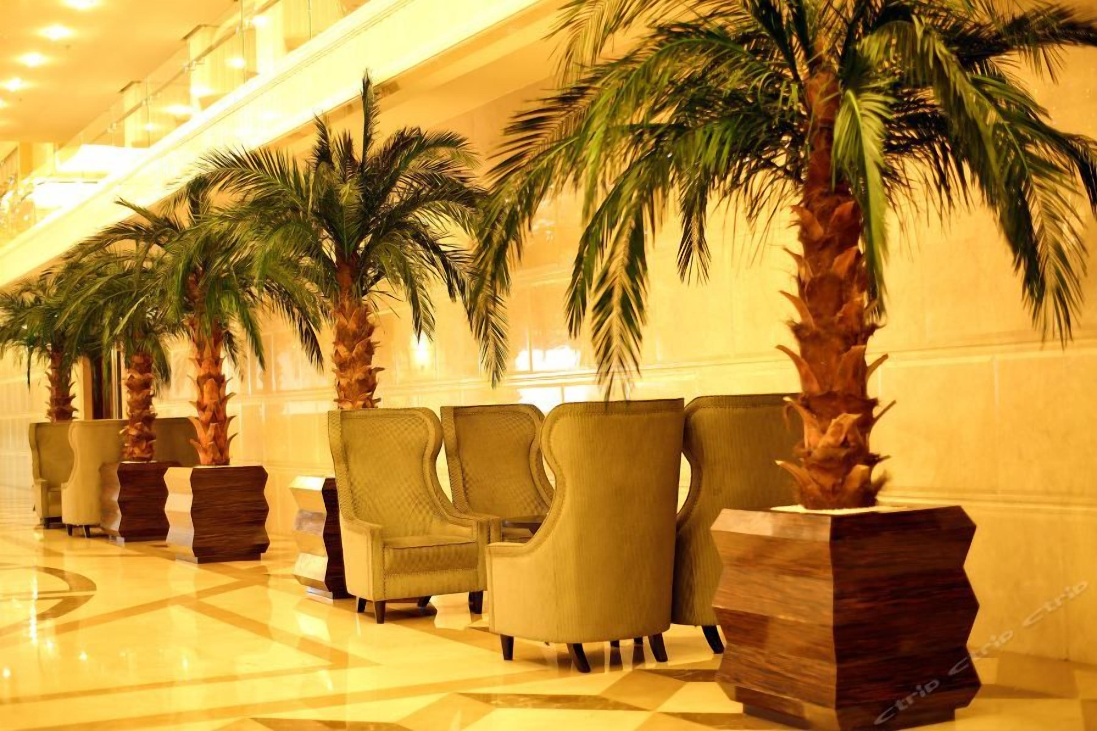 Un hall con una fila de sillones y palmeras.