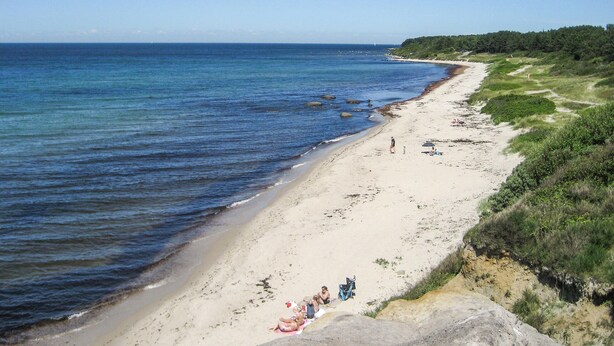 Une plage offrant une vue dégagée sur l’océan, un rivage sablonneux et quelques zones verdoyantes sur la droite.