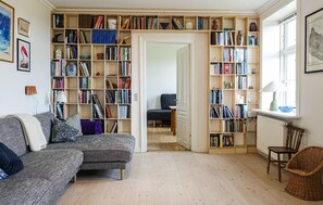 Cheminée, lecteur de DVD