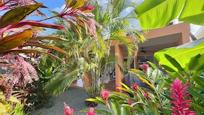 Un jardín tropical con diversas plantas y un edificio al fondo.