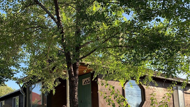 Un bâtiment rustique avec une porte verte, portant le numéro 824, et une grande fenêtre.