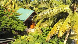 A tropical house surrounded by lush greenery and palm trees. - Fare Vahine Oviri (Avera)