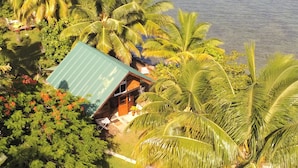 A small house with a green roof surrounded by lush greenery and palm trees, overlooking a body of water. - Fare Vahine Oviri (Avera)