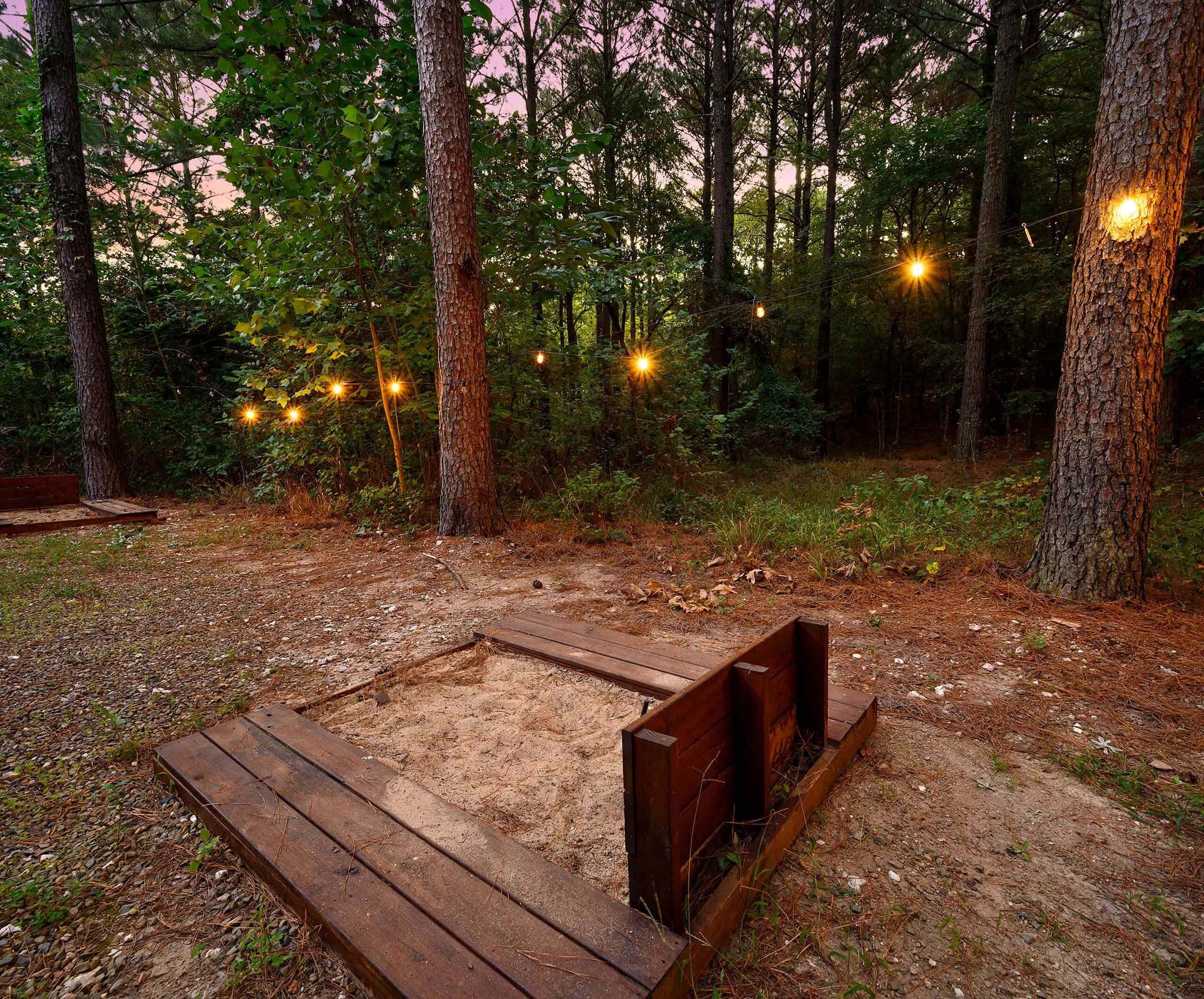 A forested area with a wooden bench and string lights.