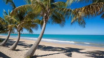 Beach nearby, beach towels