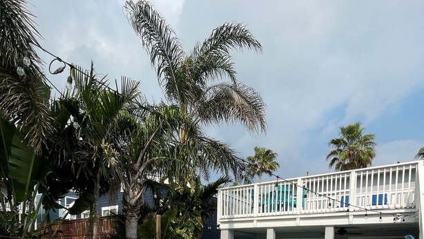Unclassified image, 1 of 48, button - Family-Friendly Coastal Retreat with Private Pool | 3BR | Walk to the Beach (South Padre Island)