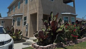 Un edificio residencial de dos pisos con techo plano, múltiples ventanas y un jardín delantero con plantas tropicales grandes.