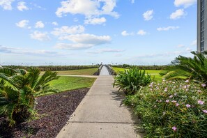 A pathway leading to a building with a clear sky and greenery on both sides.
